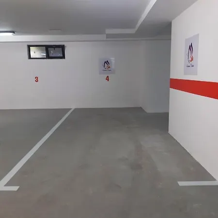 Papillon 1 * 兹拉蒂博尔